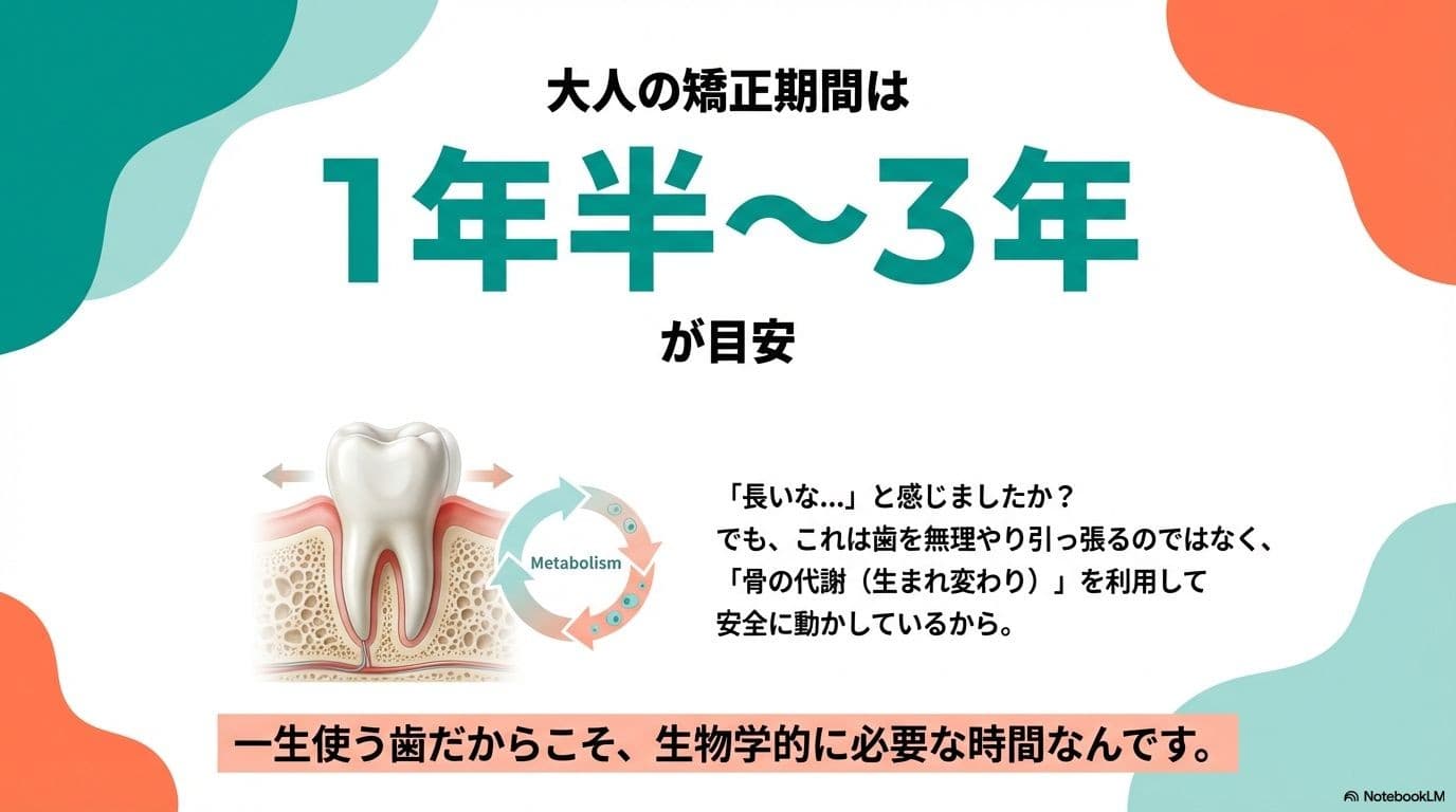 大人の歯列矯正の期間